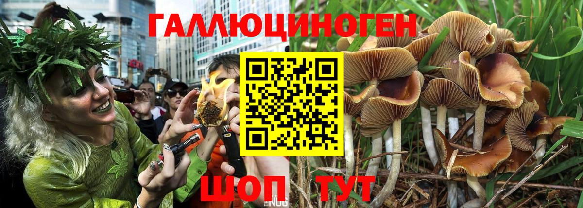 Псилоцибиновые грибы мухоморы Ревда