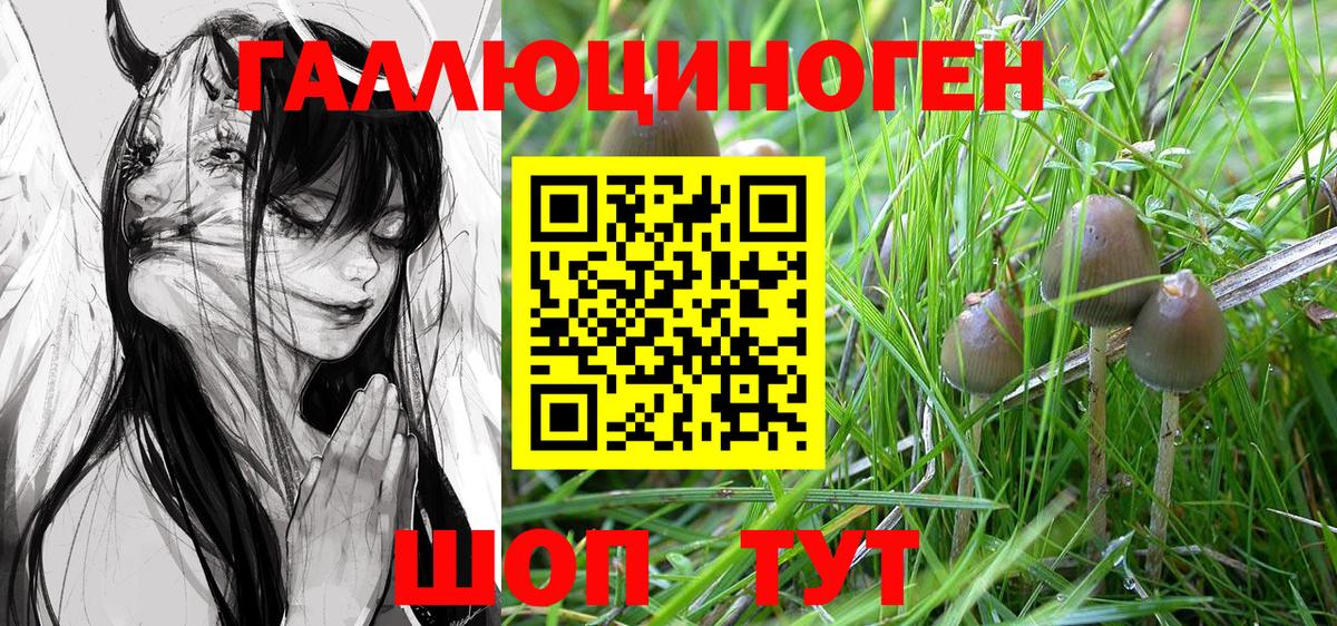 Галлюциногенные грибы Psilocybe  продажа наркотиков  Ревда  Вход с VPN 